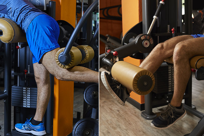 Fisioterapia — Dalla fase passiva al ritorno al movimento